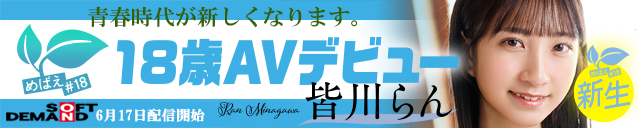 皆川らん
